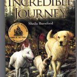 The Incredible Journey Book